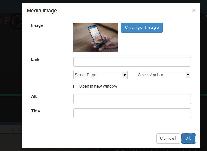 Next are just suggestions about Mobirise responsive web builder which you probably already heard.