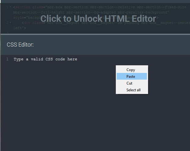Is there anything that cannot be edited with the Mobirise open source website creator "Code Editor"??