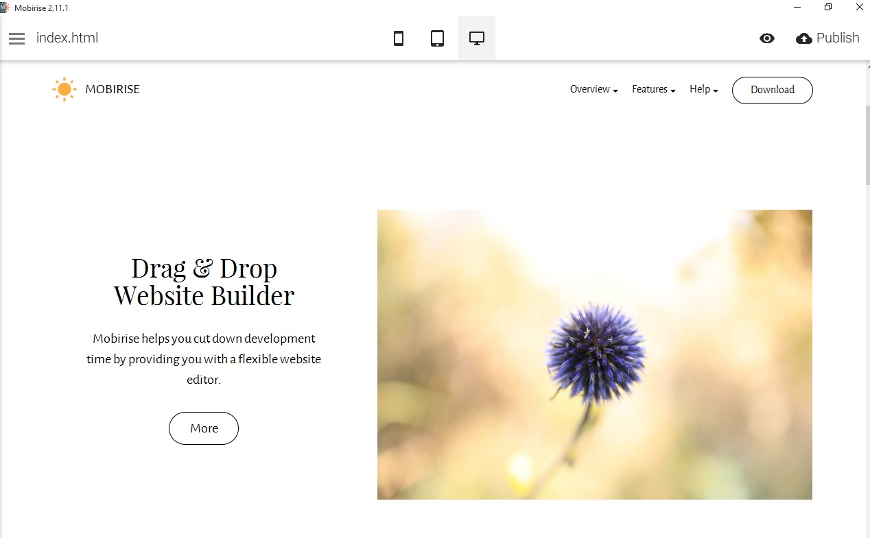 Hello reader, i purchased the Purity M theme. But when i tried using external bootstrap components with this Mobirise site maker software theme in my text editor, it doesn't work with bootstrap.