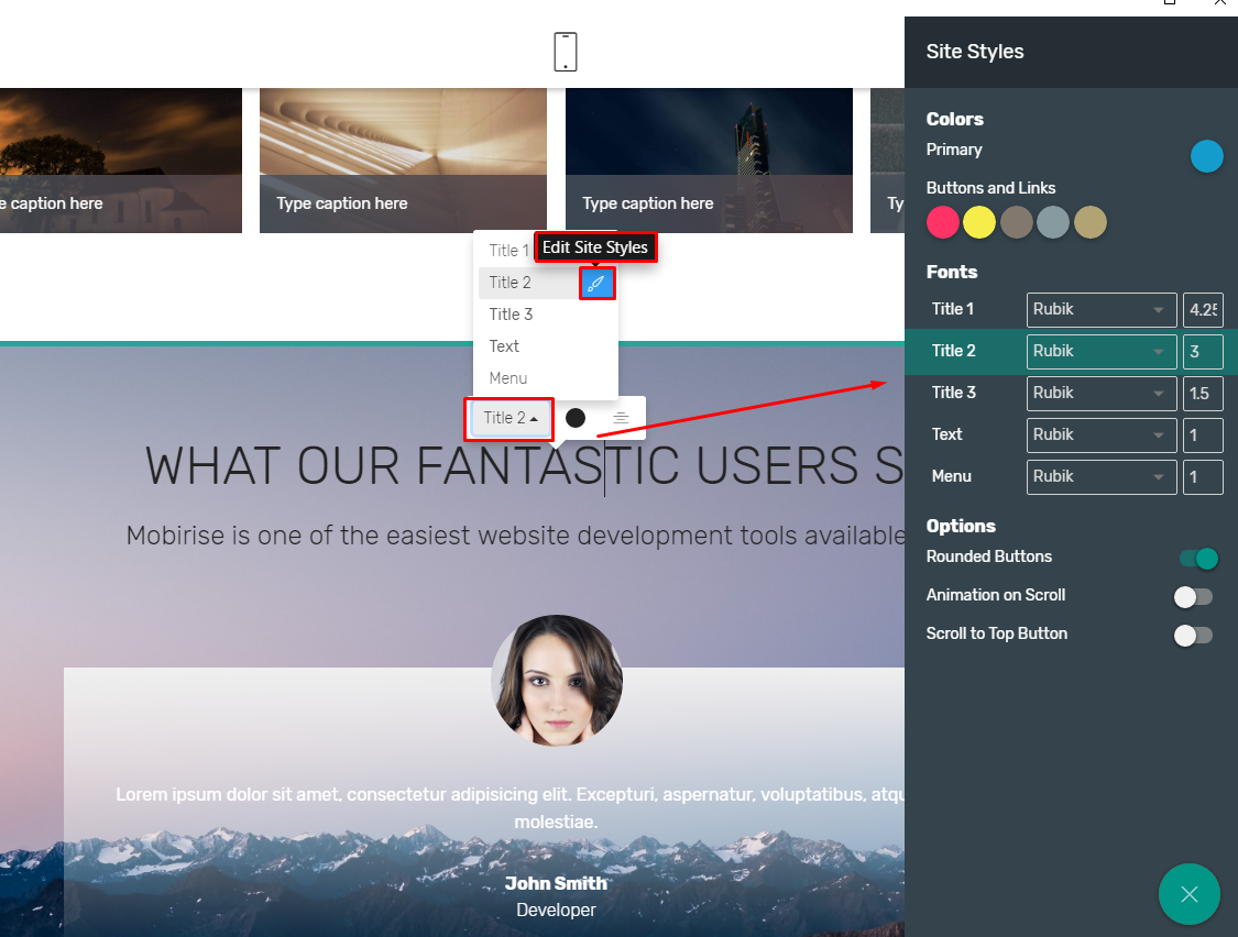 mobirise style editor